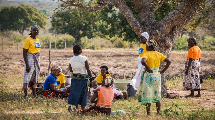 Hungerprojektets program fokuserar på att stärka lokalsamhällens förutsättningar i en värld med stora, och delvis nya, utmaningar.