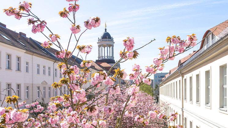 Potsdamer Lindenstraße mit Blick auf das Große Waisenhaus