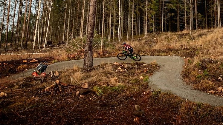 Flowtrails på ett hygge - hållbar naturturism!