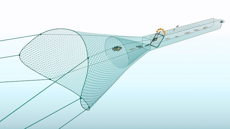 Kräfttrålen är utrustad med ett sorteringsgaller och en öppning ovanför gallret där fisken kan simma ut. Kräftan går igenom sorteringsgallret till fångstpåsen. Den småfisk som kommer igenom sorteringsgallret kan selekteras/sorteras.