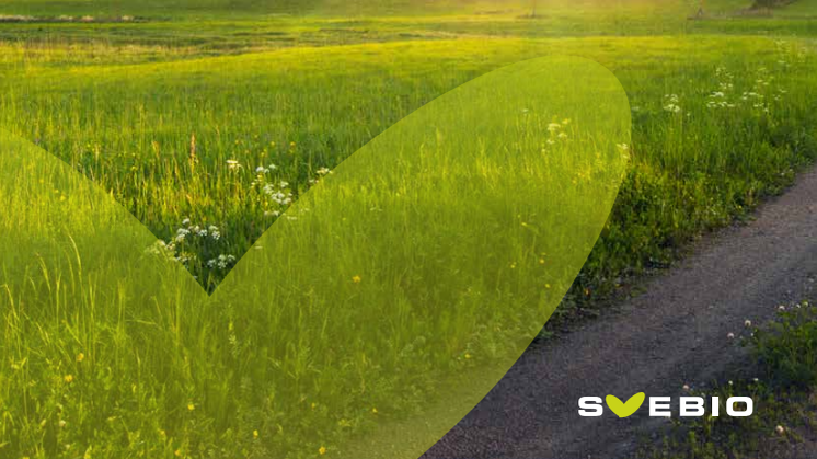 Roadmap Bioenergy – Meeting the demand for bioenergy in a fossil free Sweden