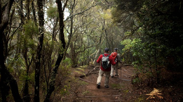 UNESCO har utsett fem biosfärområden på Kanarieöarna. Foto: Canary Islands Tourism.