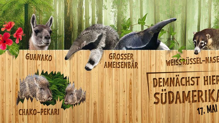 Südamerika im Zoo Leipzig - Tierbesatz