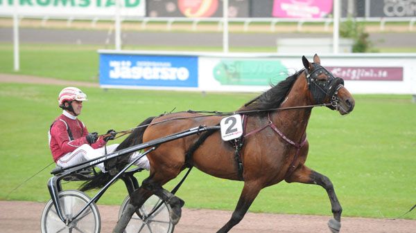 Raja Mirchi inbjuden till Elitloppet 2012