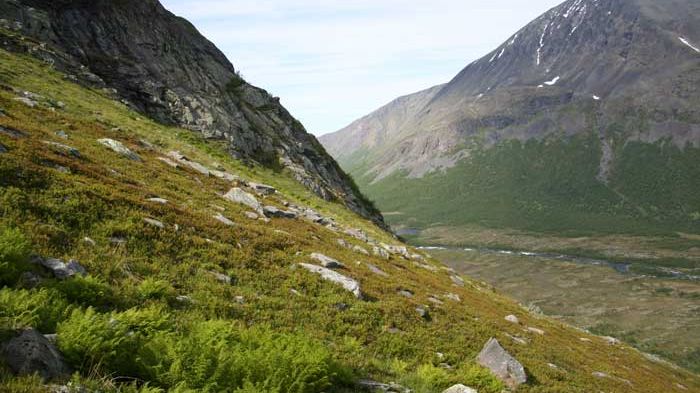 Bättre miljöhänsyn krävs för livskraftiga arter och naturtyper