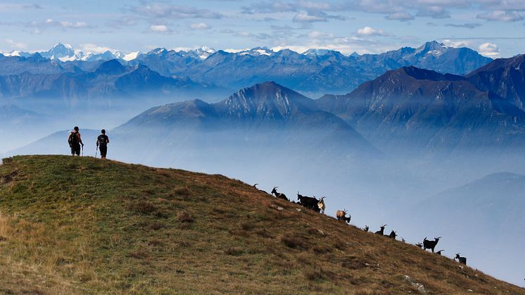 Lugano Trekking, Tessin (c) Tessin Tourismus, Remy Steinegger