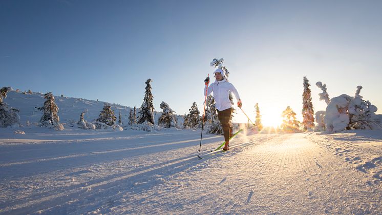 Vemdalen SkiStar Cross-Country Arena Charlotte Kalla-foto SkiStar