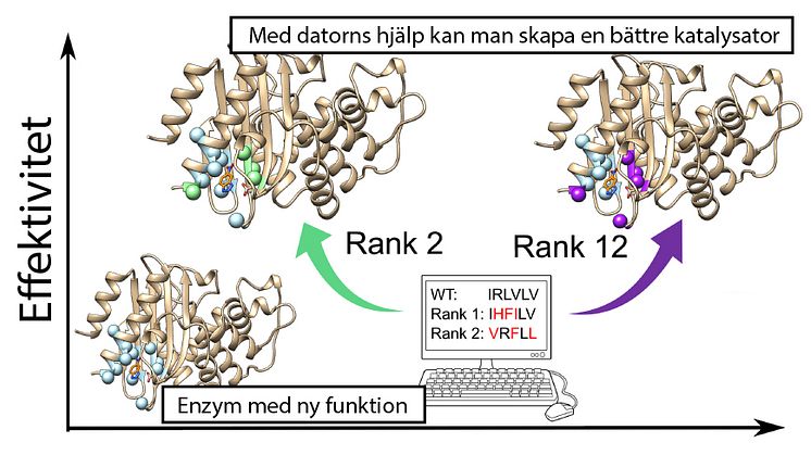 Genom att utgå ifrån uråldriga proteinstrukturer kan man skapa enzymer för nya kemiska reaktioner och sedan använda bioinformatiska beräkningar för att göra dem mer effektiva. https://pubs.rsc.org/en/content/articlelanding/2020/sc/d0sc01935f