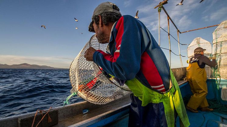 Hållbart fiske spelar en stor roll på Lanzarotes gastronomiska scen. Foto: Canary Islands Tourism. 