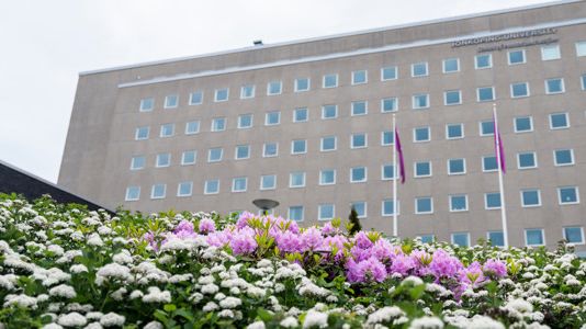 Hälsohögskolan, Jönköping University, har tilldelats nära 9,9 miljoner i forskningsanslag från Forte.