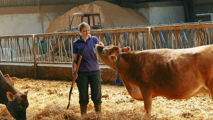 Al dansk drikkemælk fra Arla er nu fra køer fodret uden genmodificerede afgrøder 