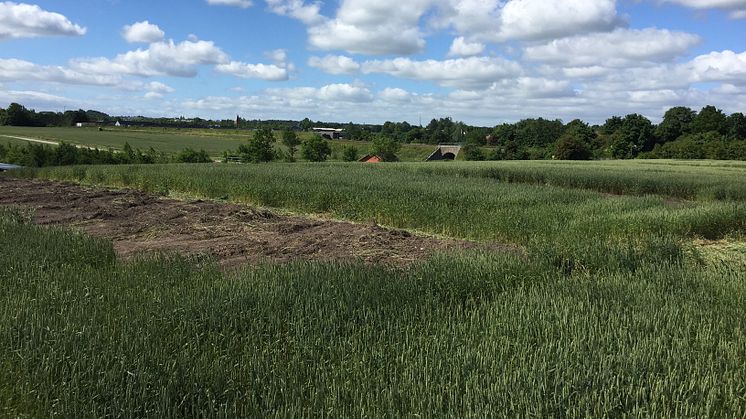 Det nye bæredygtige byggeri, skal opføres ca. 300 m. syd for daginstitutionen Kronhjorten ved Støvring Ådale. Det forventes at stå færdigt ultimo 2018.