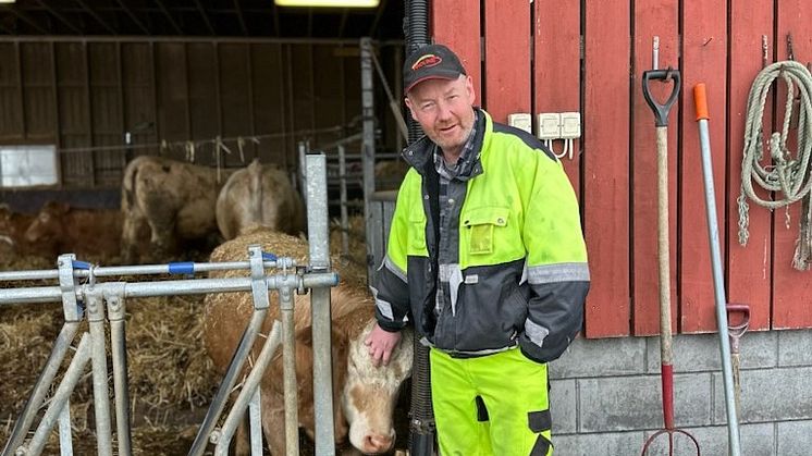 Bjørn Gimming, ammeku_bredde