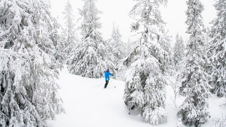 Nysnø i Trysil