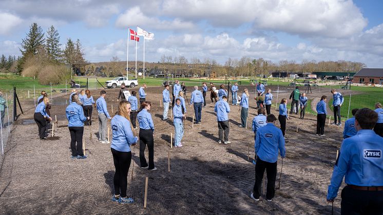 37 nyslåede træplantere fra JYSKs elevuddannelse satte lige så mange træer i jorden for at fejre begyndelsen på deres uddannelse.