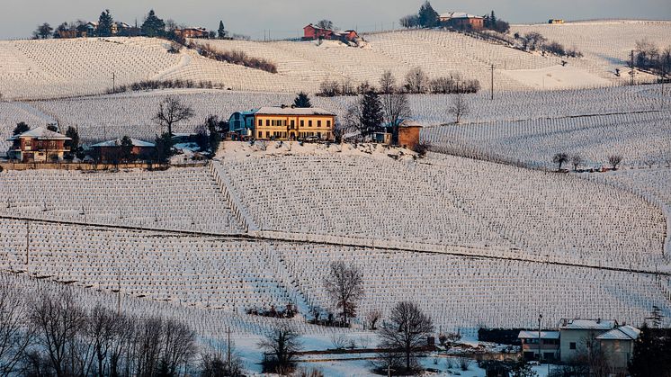 Rivettis topp-Barbaresco från 2016 som både helflaska och magnum