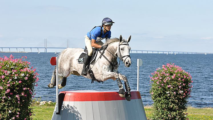 Malmö City Horse Show bjuder in till presskonferens inför helgens fälttävlan