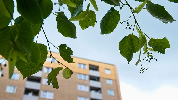 Premiär för Grannsamverkan på AB Bostäder!