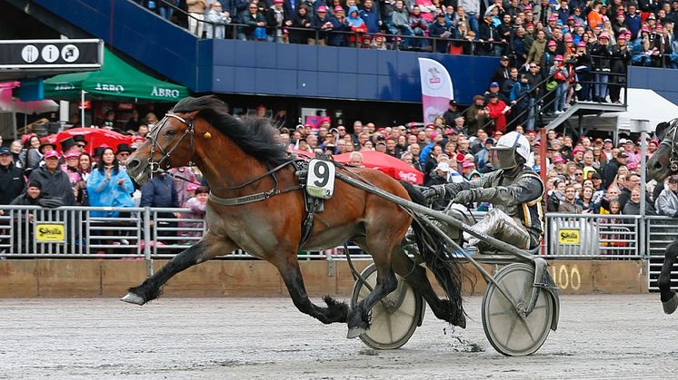 Tangen Haap vinner Elitkampen 2019. Foto: TR Bild