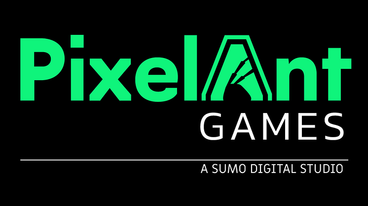 Industry Veteran Pawel Selinger Joins PixelAnt Games as Art Director