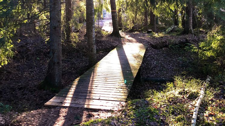 En av de fem broar längs Molkomsmossens vandringsled som ska bytas ut och tillgänglighetsanpassas. 