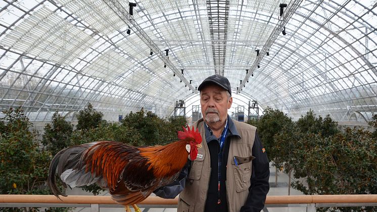 127. LIPSIA-Bundesschau und 72. Deutsche Rassetaubenschau auf der Leipziger Messe - Foto: Elli Flint