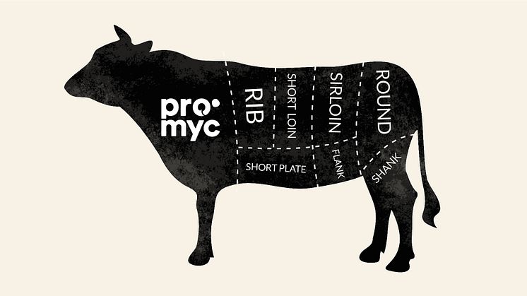 Mycorena accelererar nytt livsmedelssegment genom att introducera de första kötthybriderna med mykoprotein