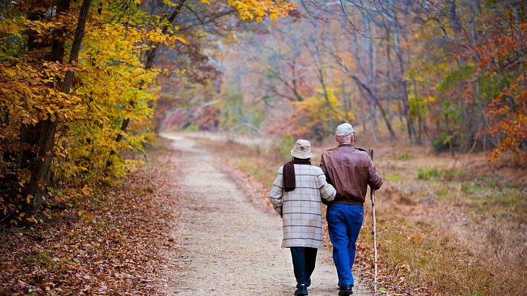 Fördelarna var störst när en person gick från att vara en soffpotatis till att börja med promenader. Foto: Pixabay. CC0