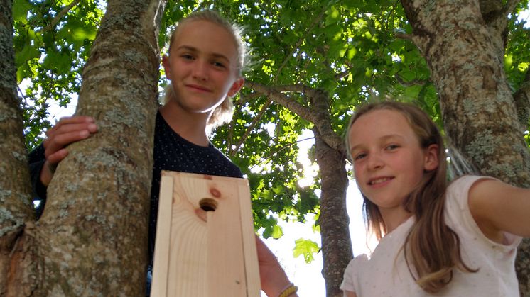 Miljøagentene Lotte Franke (12) og Inga Franke (11) har selv vært med på å bygge fuglekasser, og synes det er et morsomt og viktig arbeid.