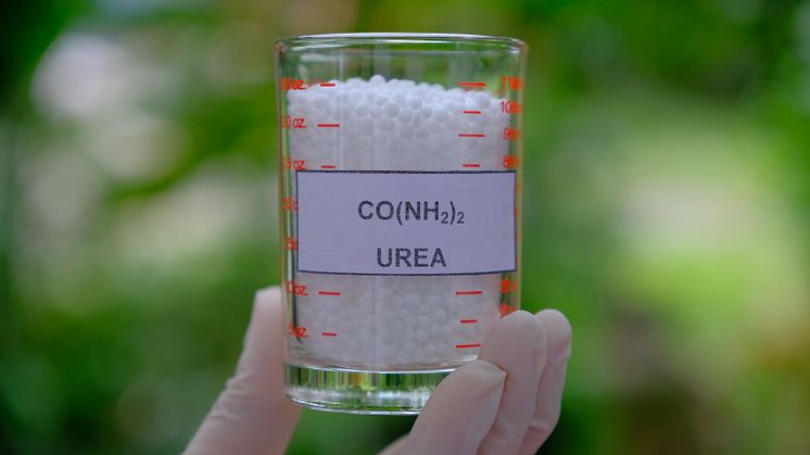 iStock-1285096061_Urea.jpg