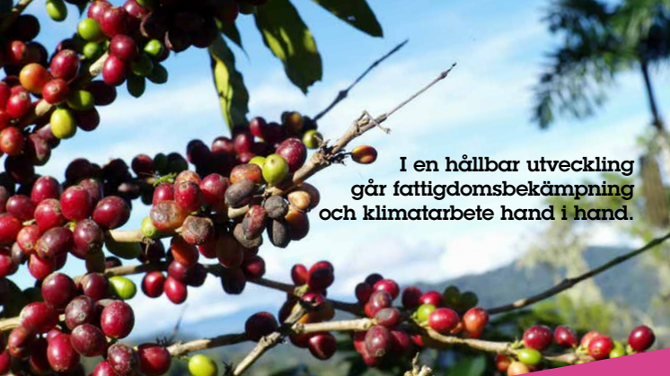 Fairtrade-rapporten 2015: ”Det börjar med Fairtrade