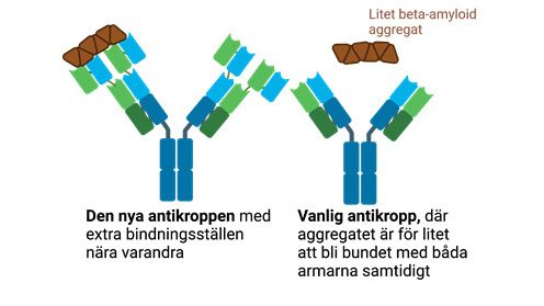 Effektivare behandling av Alzheimers