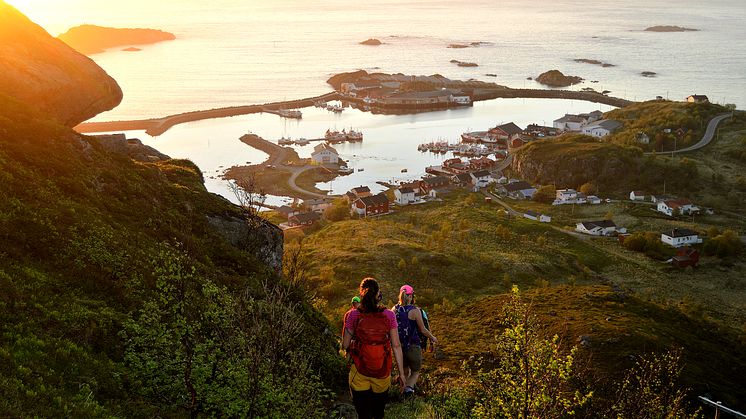 A tasty round trip in Vesterålen: food, nature and cultural treasures all in one