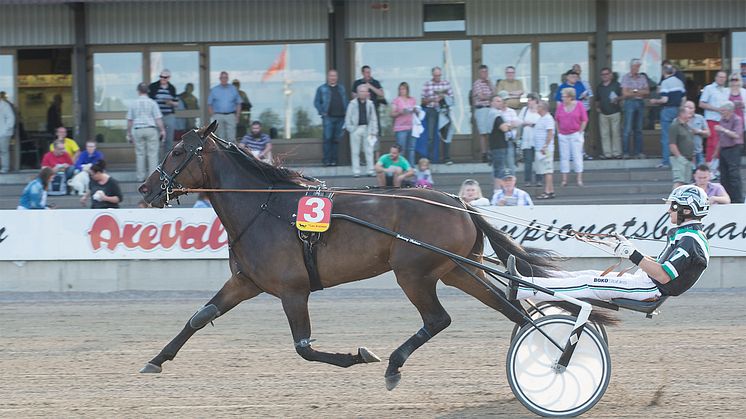 Sommartravet på Axevalla med extra V75 och StoChampionatet