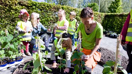 Insekter och småkryp! – Temat för ”Barnens trädgård” 2010