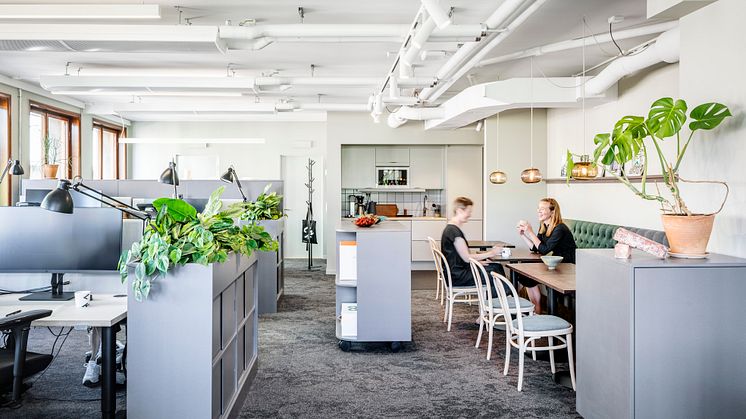 LINK Arkitekturs Göteborgskontor är en hubb för samarbete med fokus på estetik och återbruk. Foto: Felix Gerlach