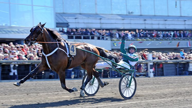 Sebastian K. klar för Elitloppet - Maharajah inbjuden