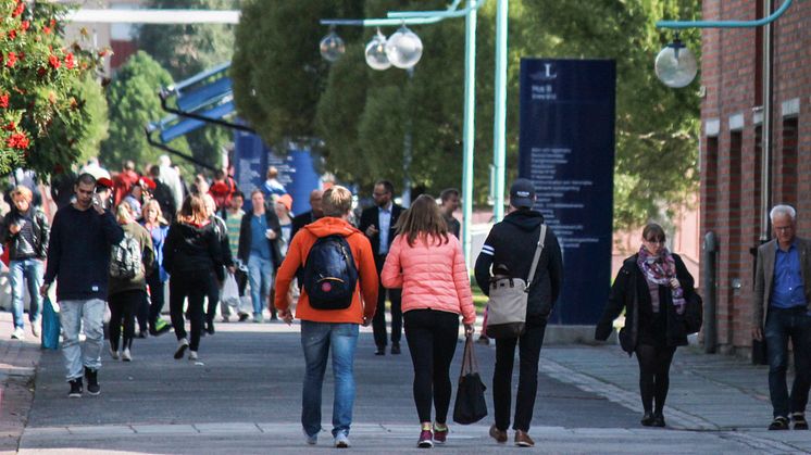 Nyheter på universitetets webb i sommar