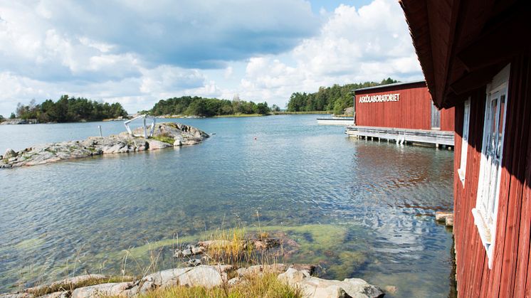 Askölaboratoriet i Trosa skärgård hör till Stockholms universitets Östersjöcentrum och är ett centrum för marin forskning. Här bedriver forskare från Sverige och hela världen olika vetenskapliga studier om havet. Foto: Anna-Karin Landin