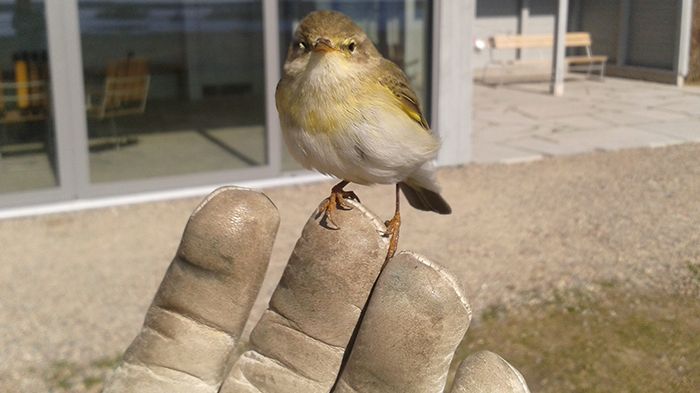 Naturens hus fototävling avgjord