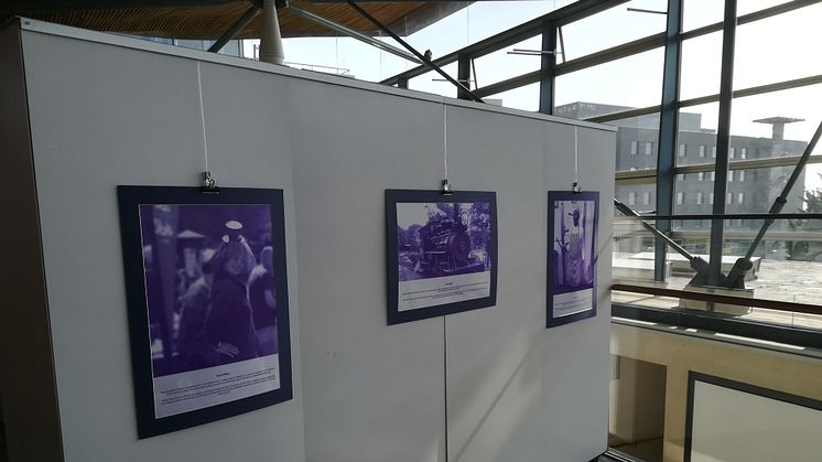 Some of the photographs on display at the Senedd | Rhai o'r lluniau sy'n ymddangos yn y Senedd