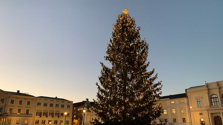 Julgranen på Gustaf Adolfs torg 2021. 