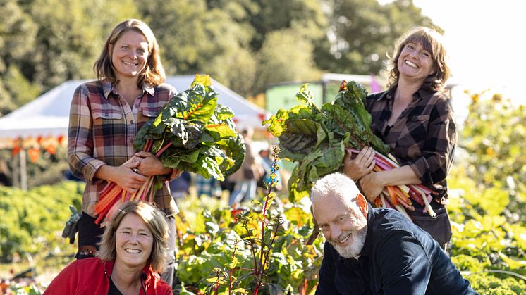 Skördefest! Ovan, fr v, Johanna Karlén och Karin Saler, odlingsutvecklare. Nedan, fr v,  Johanna Frelin, vd på Riksbyggen och Fredrik Kjos (m), kommunstyrelsens ordförande i Upplands-Bro kommun. Foto: Johanna Hanno