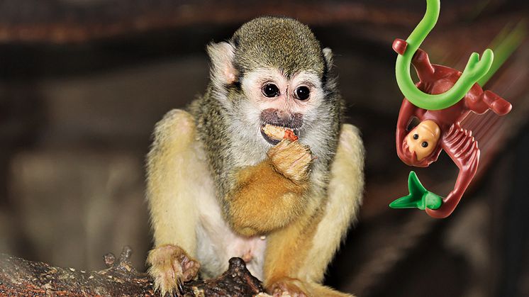 Tierischer Spaß im Tierpark Germendorf