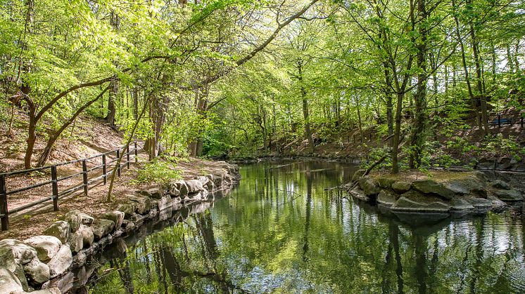 Jordbodalen med den porlande Gåsebäcken är ett naturreservat centralt i staden