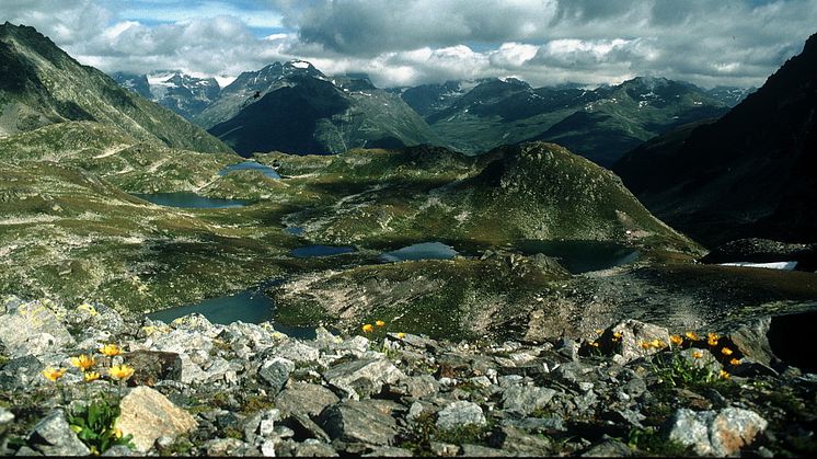 Die Macun-Seenplatte im Schweizerischen Nationalpark 
