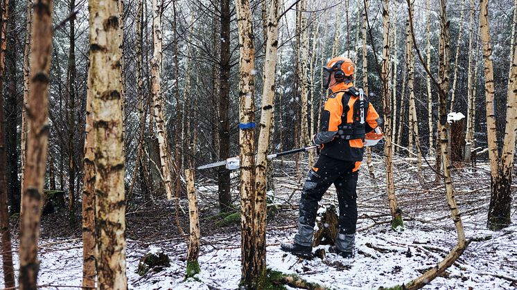 Batteristamkvistaren HTA 150 för skogsägare och skogsbrukare är det första batteriverktyget från STIHL som är framtaget speciellt för skogsvårdsarbete.