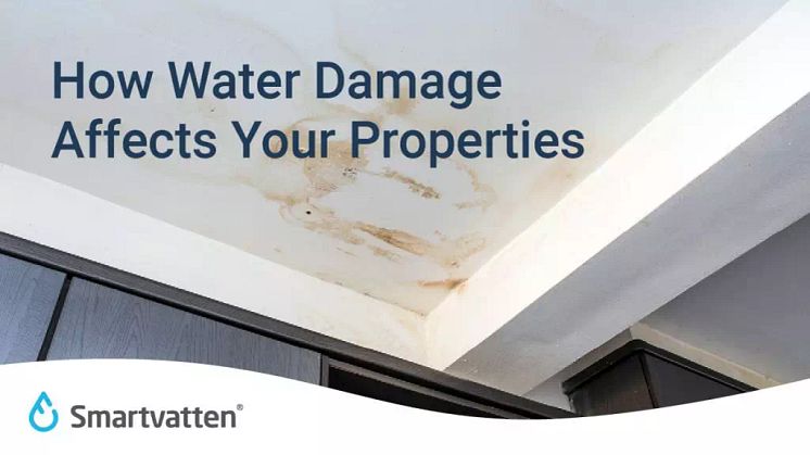 How Water Damage Affects Your Properties