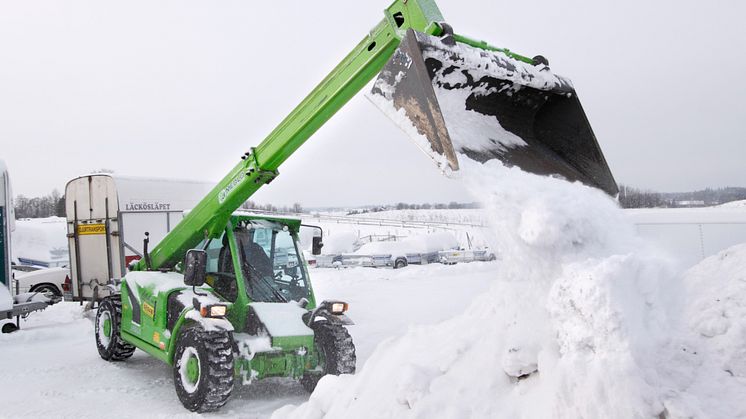 Allfixande Merlo byter skepnad efter årstid