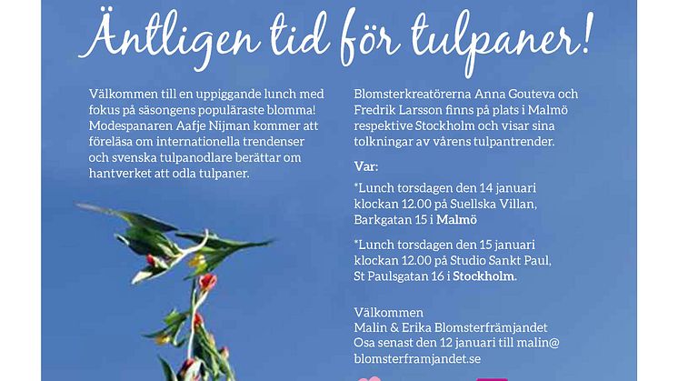 ​Äntligen tid för tulpaner!